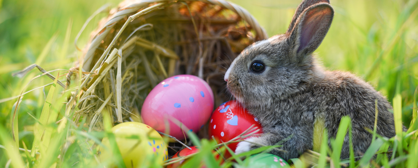 Easter activities