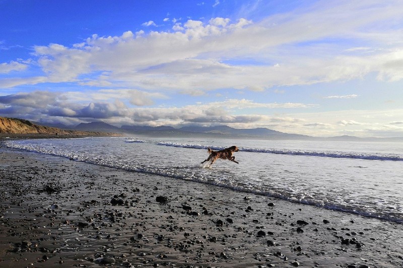 Newborough Warren_Anglesey Holiday Lettings