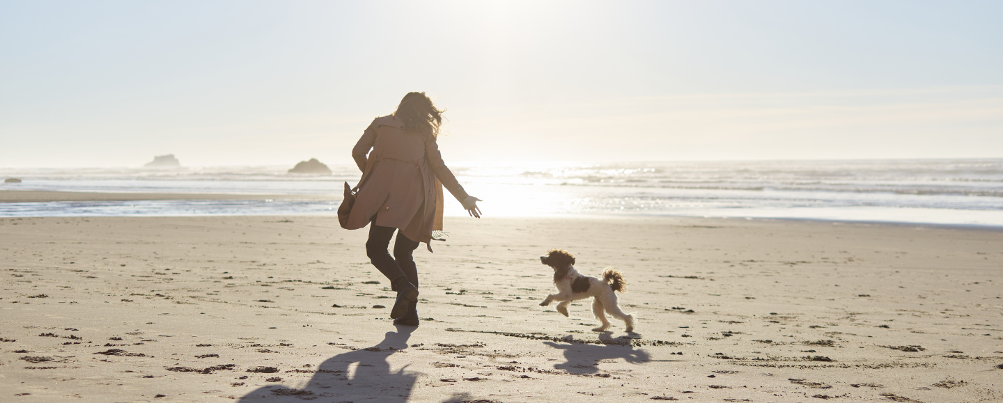 Dog Friendly Cottages on Anglesey