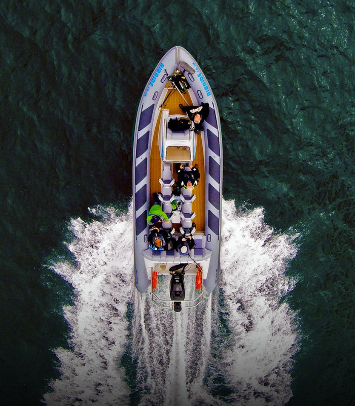 Rib Ride