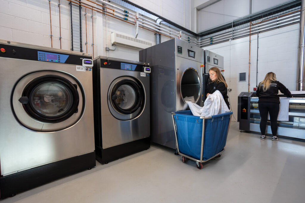 Laundry unit