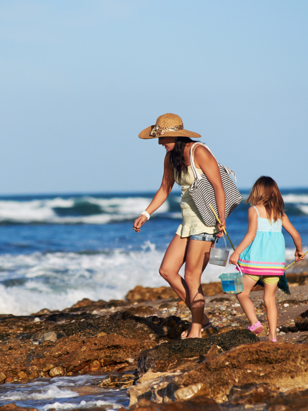 Summer Holidays
