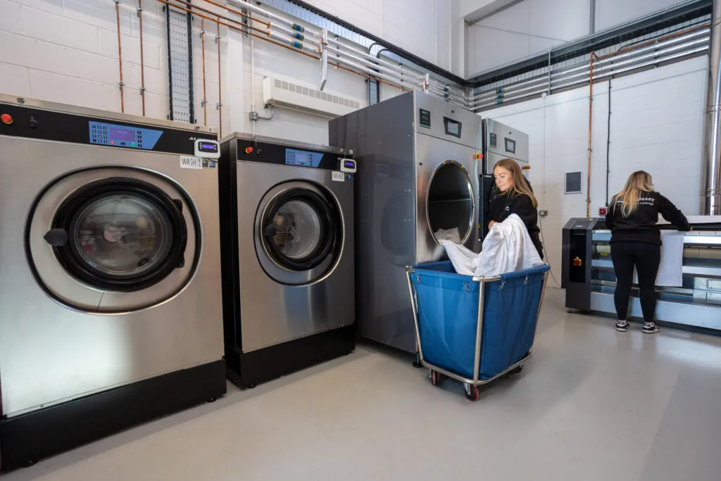 Laundry unit