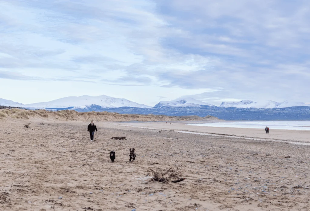 Anglesey Coastal Path - newborough