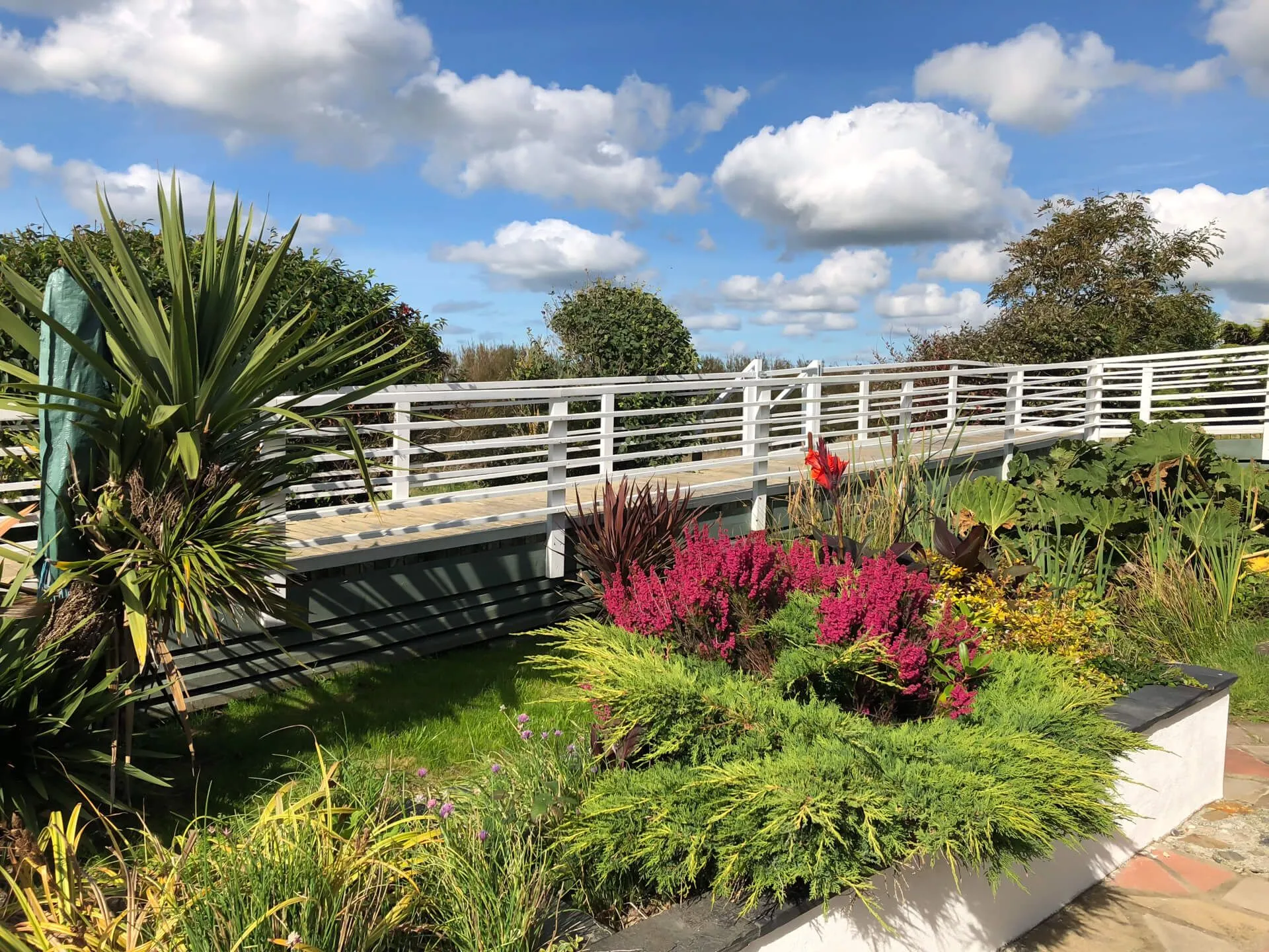 Owain's Lake View - Lake walkway - Llanfaelog 
