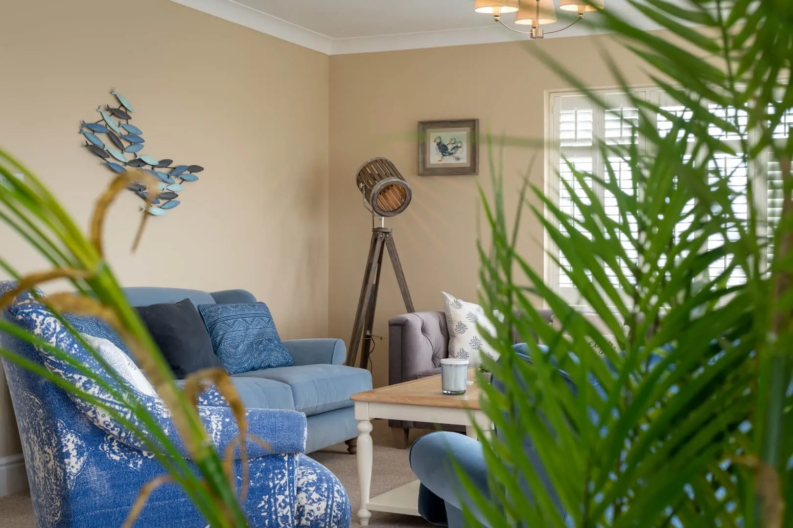 Sand Dollar - Lounge plants