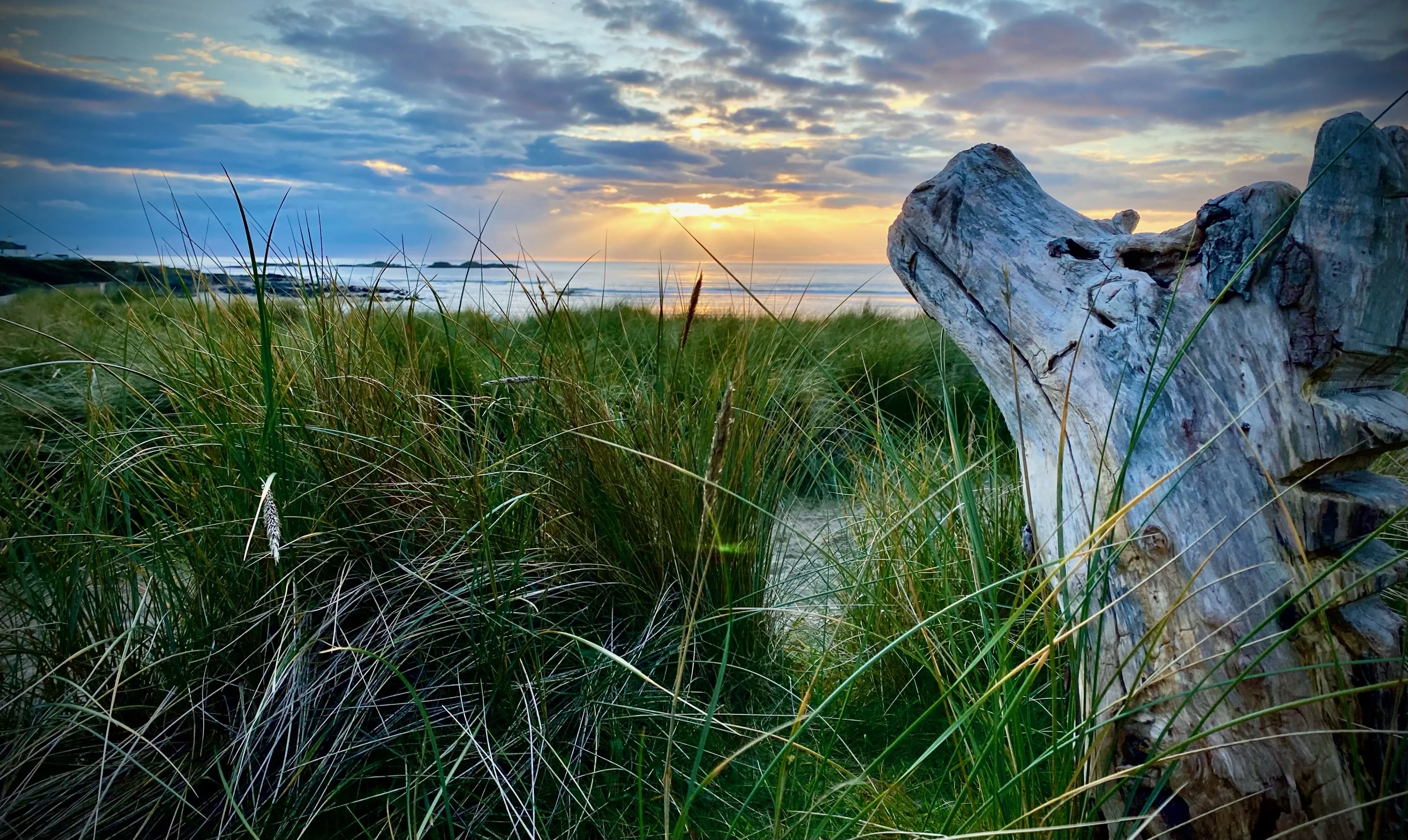Stock photo - Sunset and sea