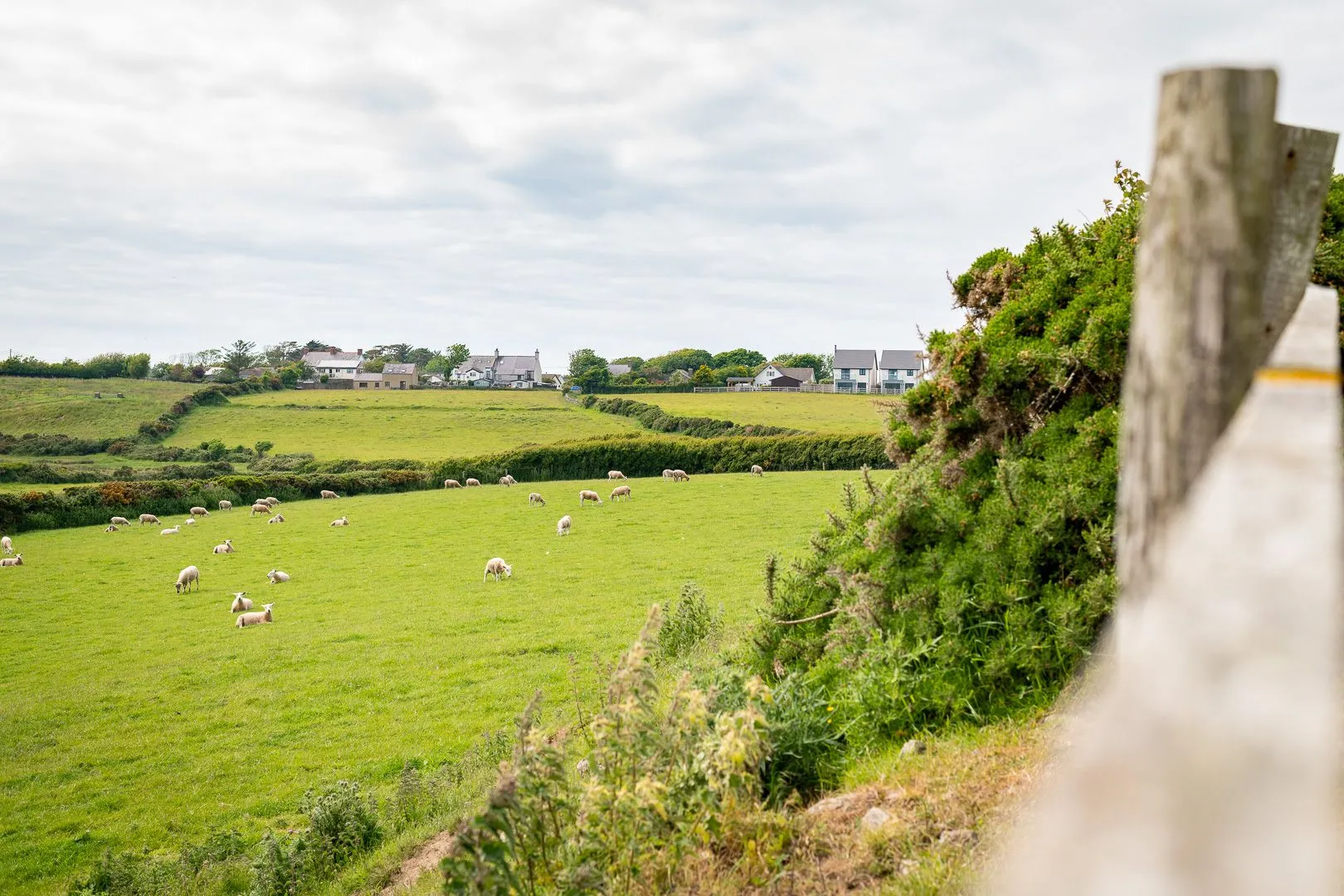 Y Bwthyn Llanfaelog Fields