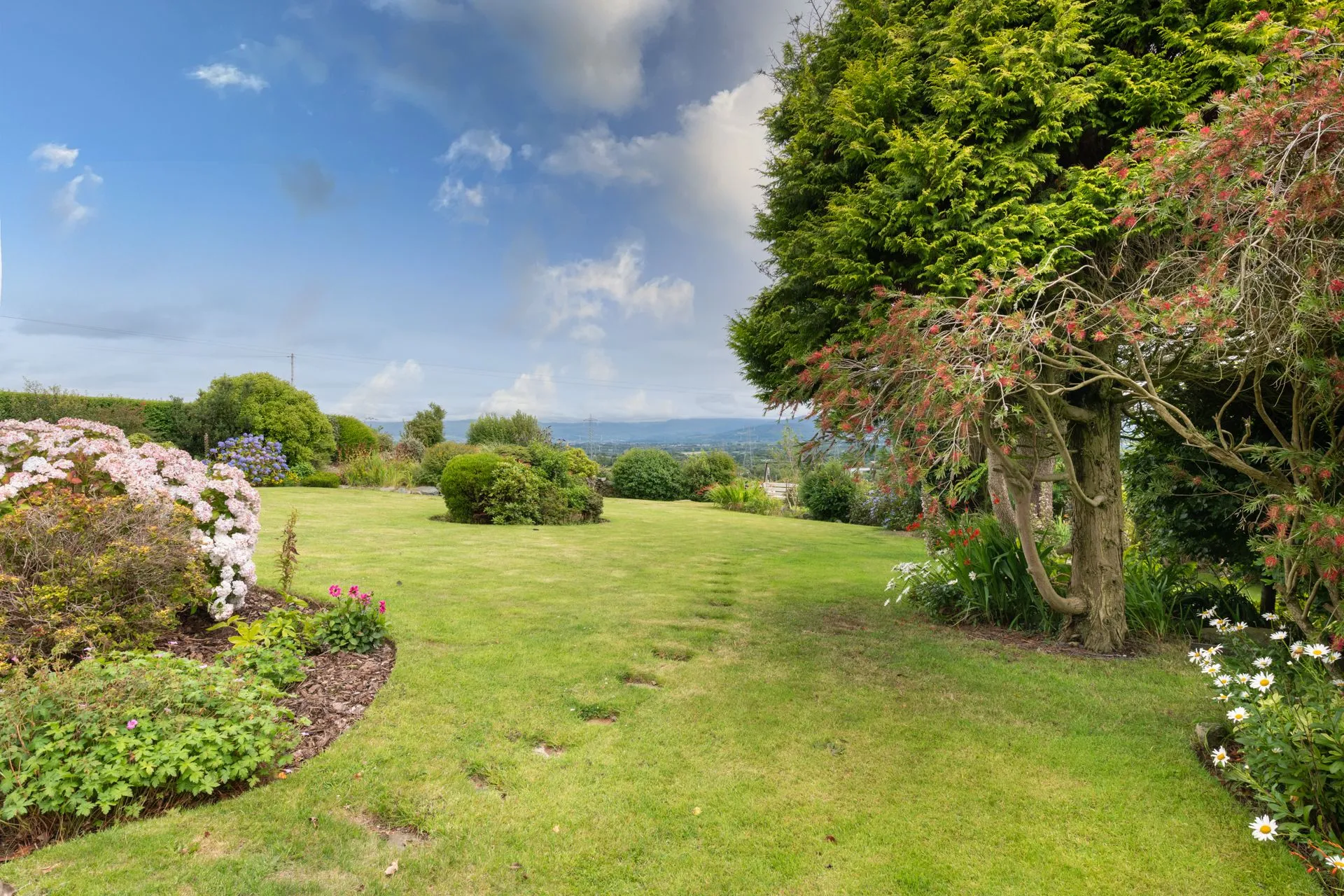 Penyrorsedd - Rear garden