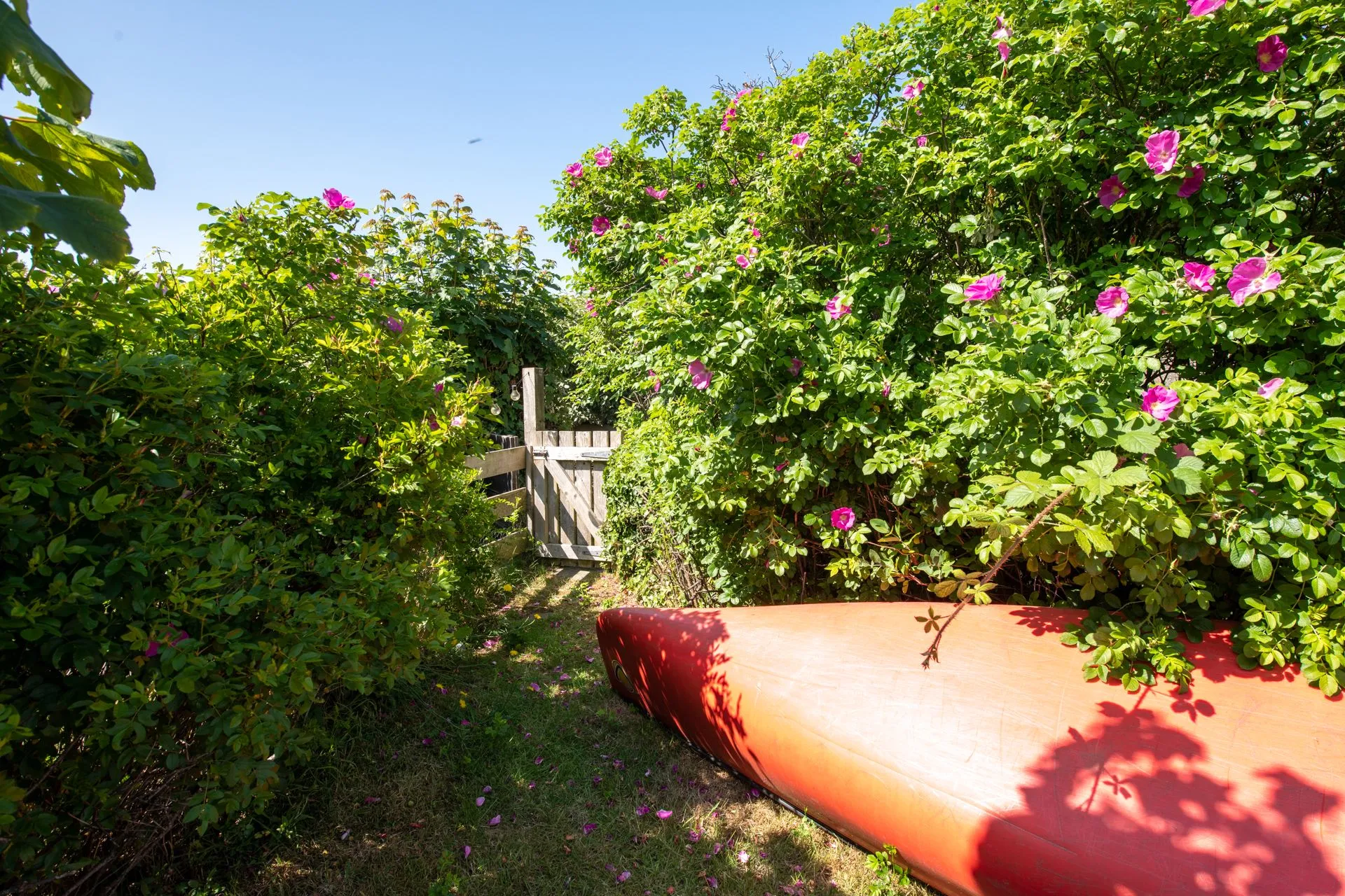 Ty Heulwen Garden Rhosneigr
