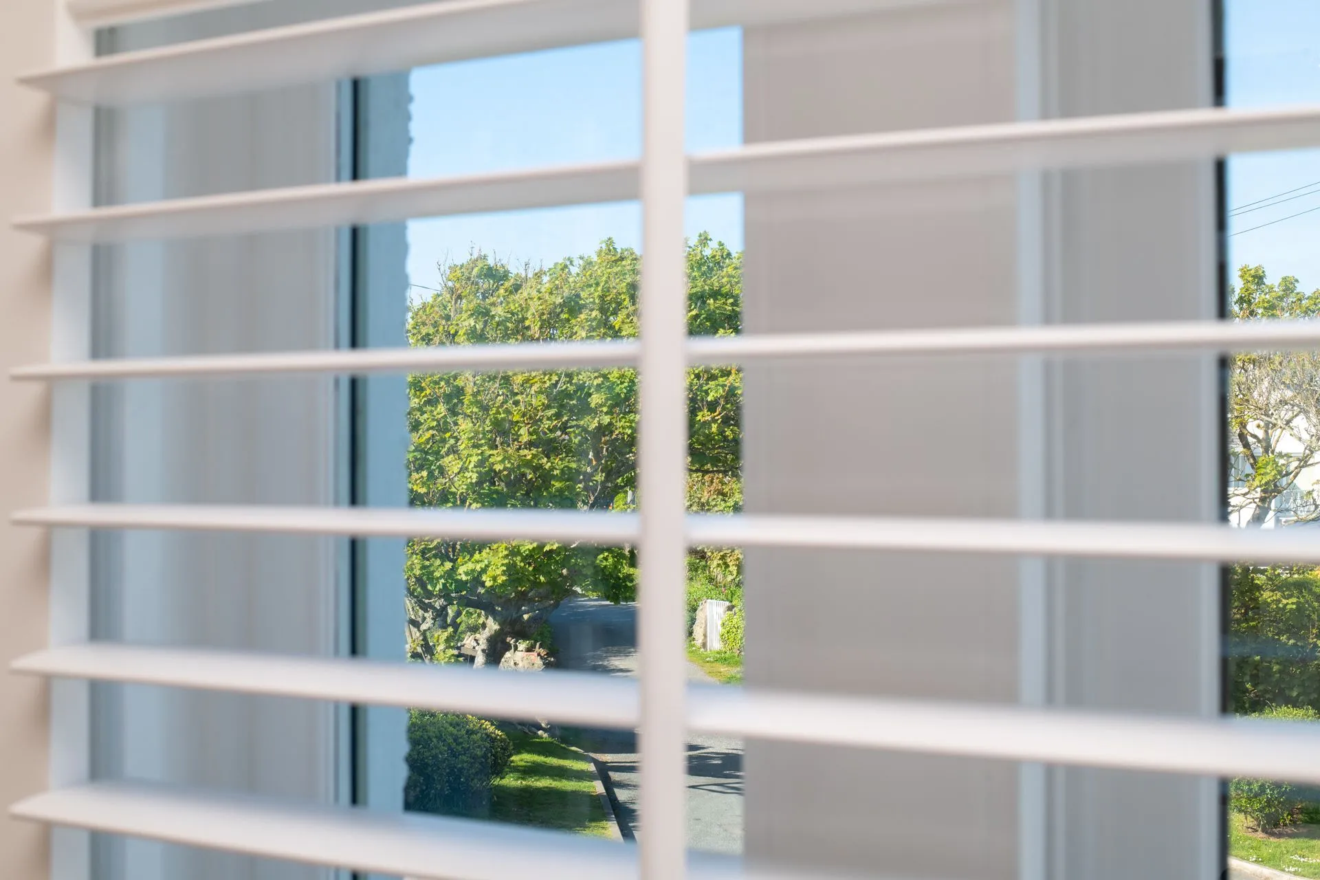The Little Nest - view from window