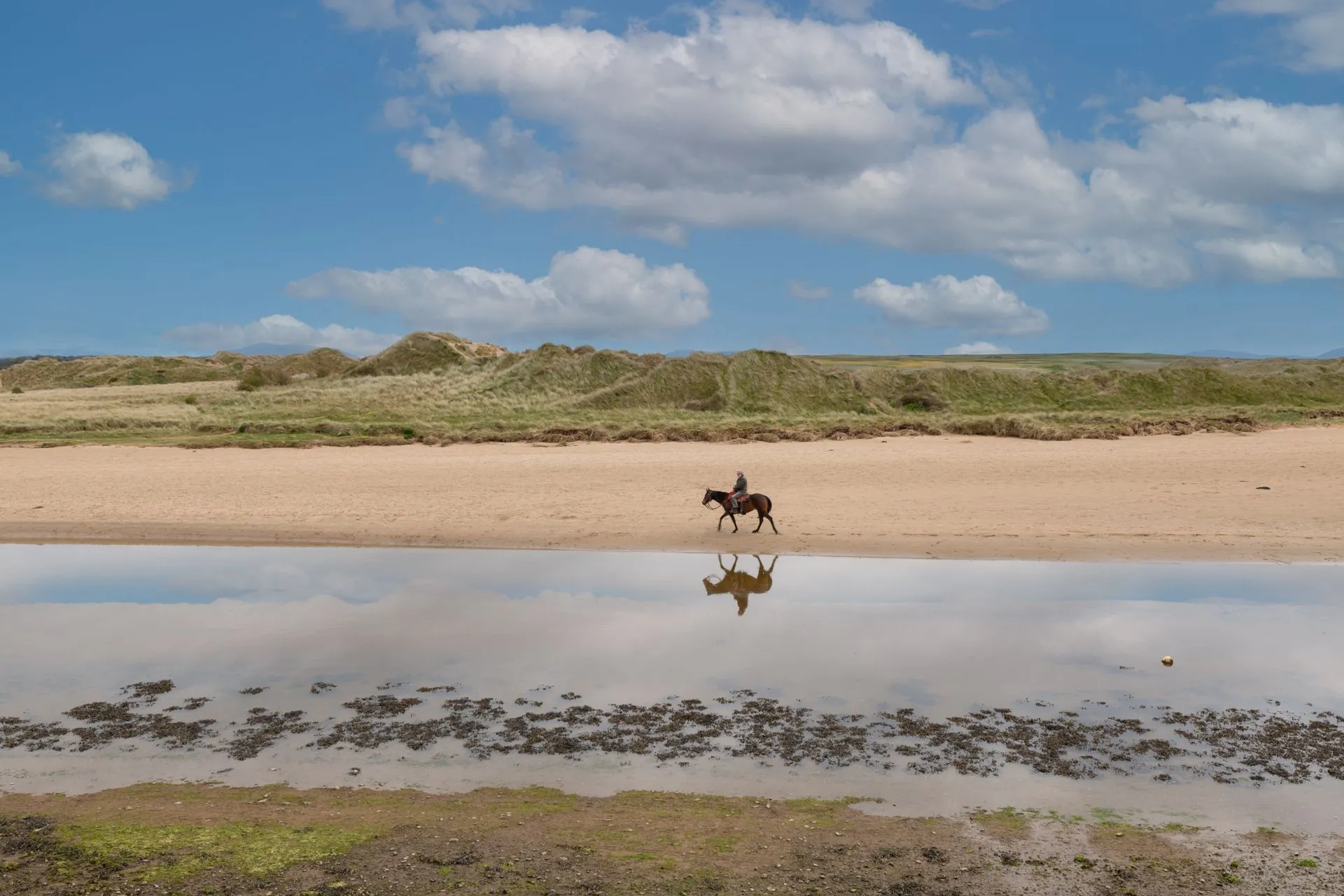 Y Cei Estuary Horse Riding