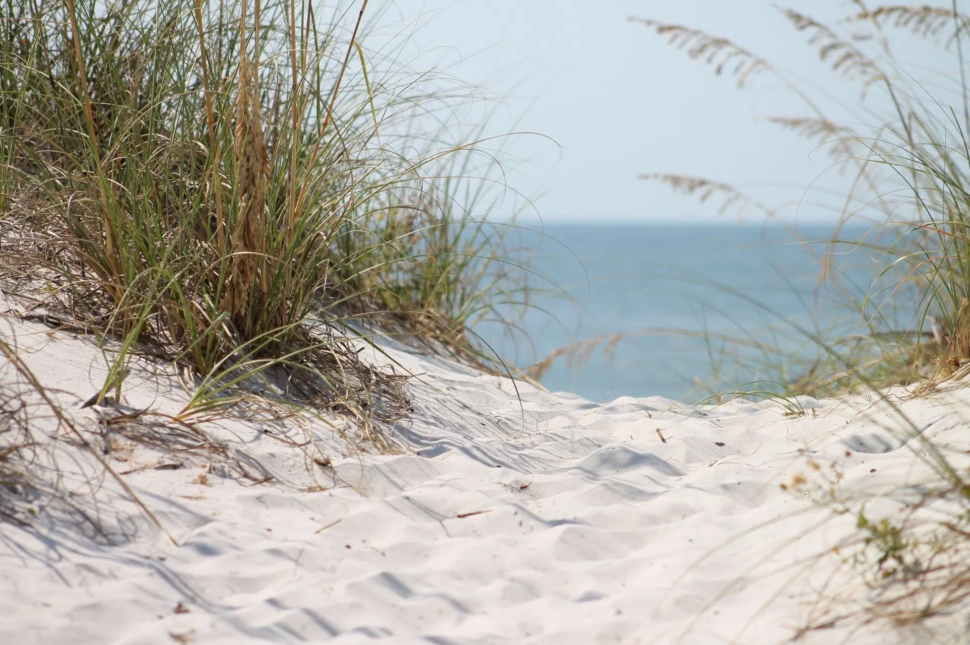 sand, marram grass and sea