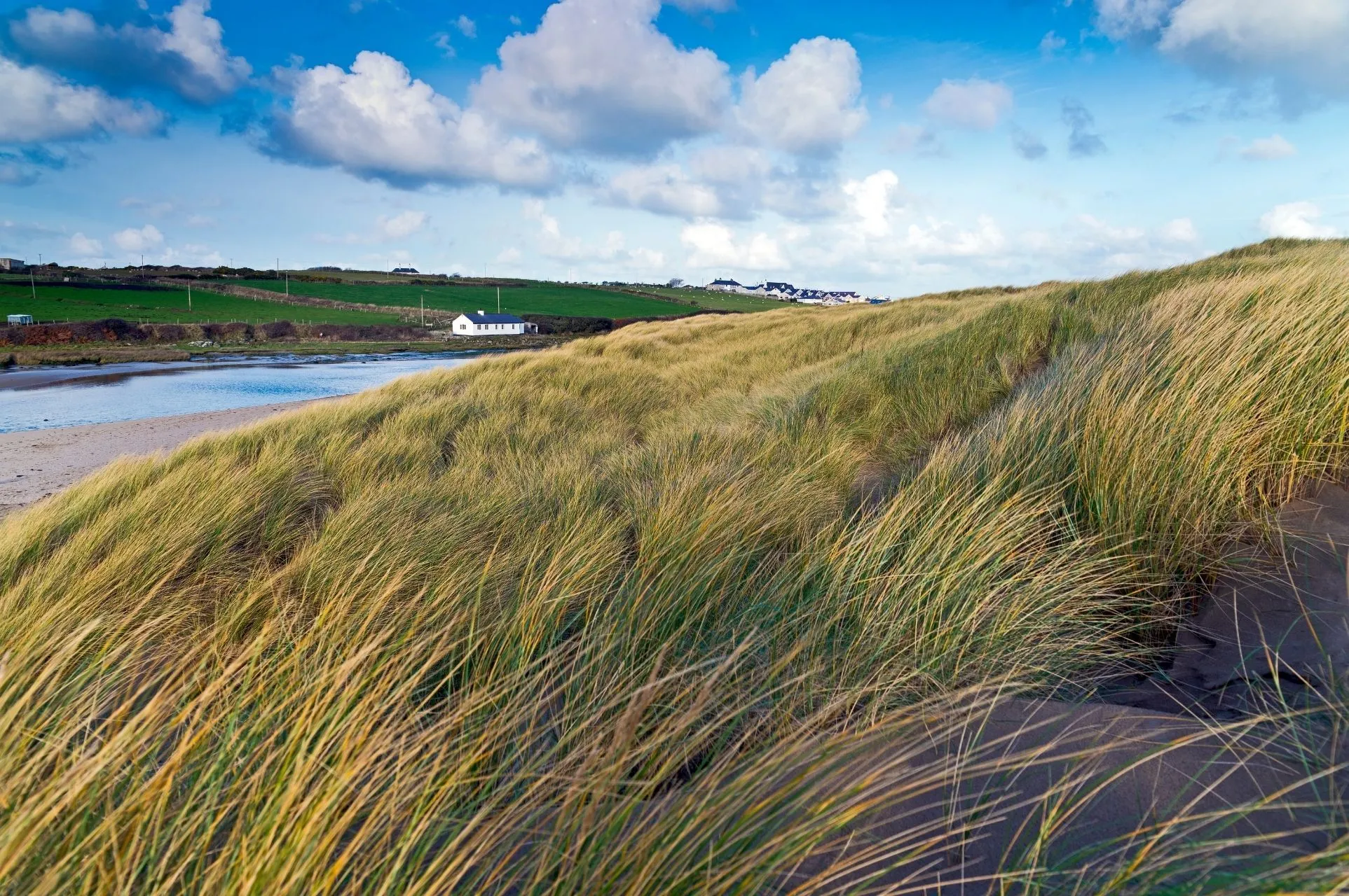 Bwthyn Dwynwen - Aberffraw Marram Grass