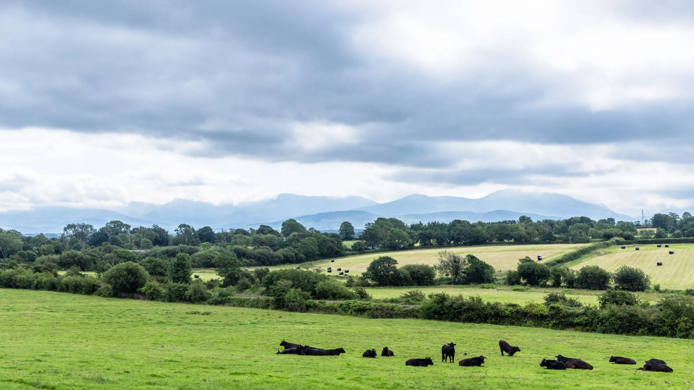 Monfa Rural Fields 