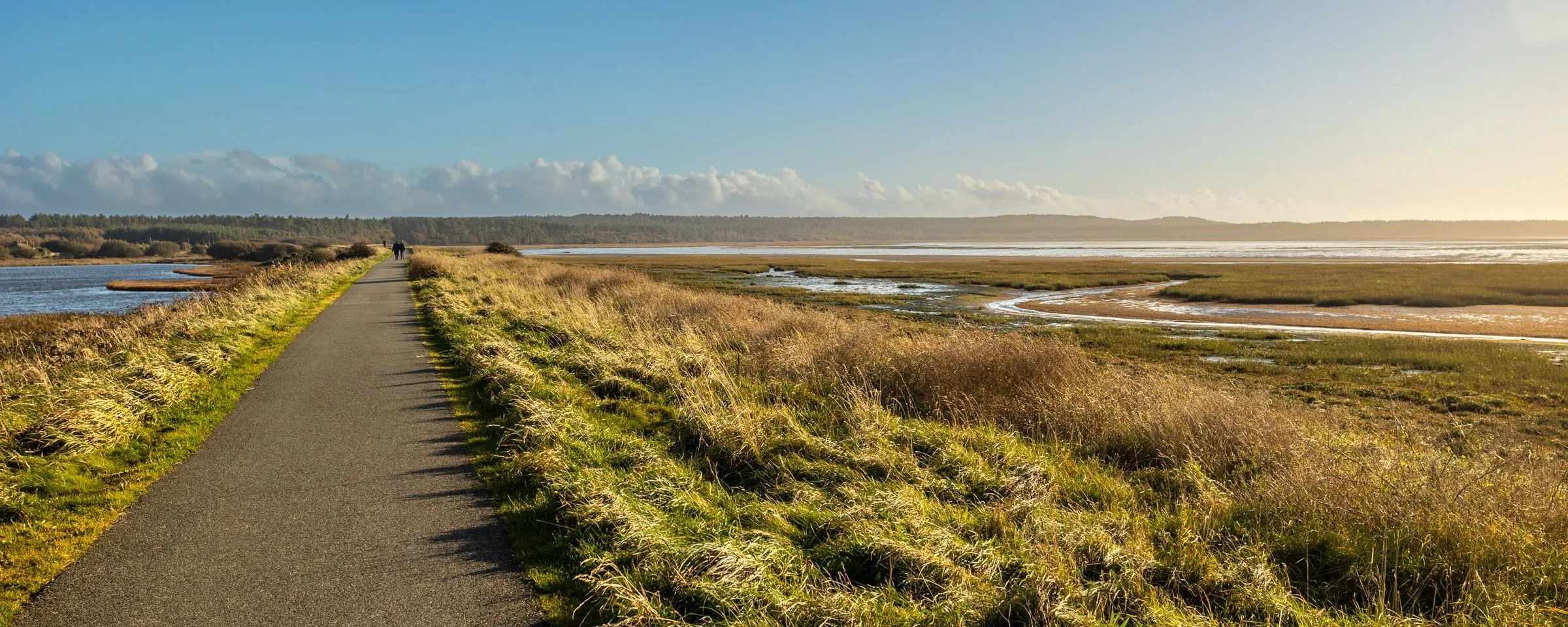 Kite Cottage - The Cob