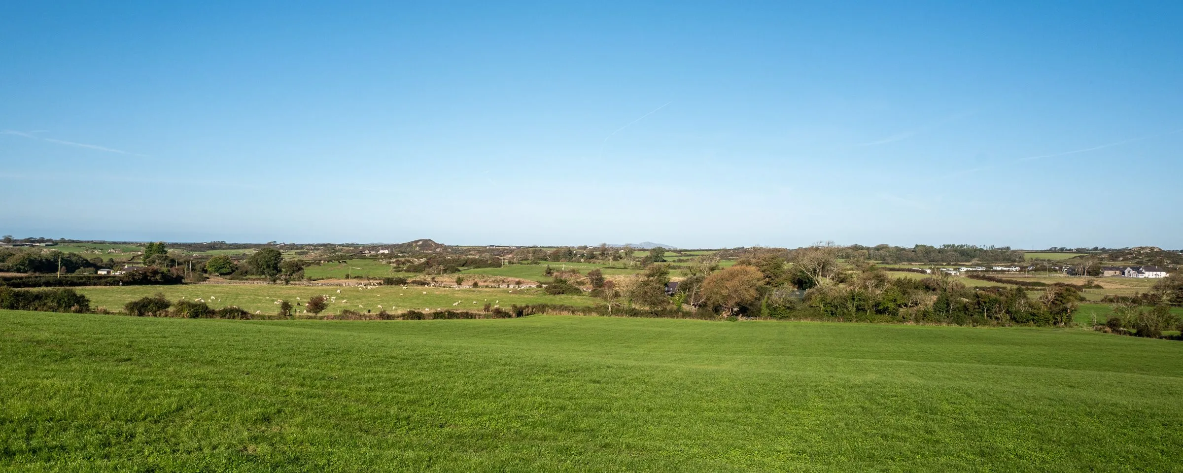 Bryn Lon Bach Fields
