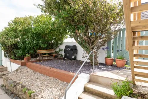 Llys Y Celeste outside area