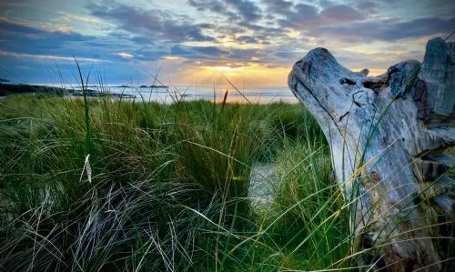 Stock photo - Sunset and sea
