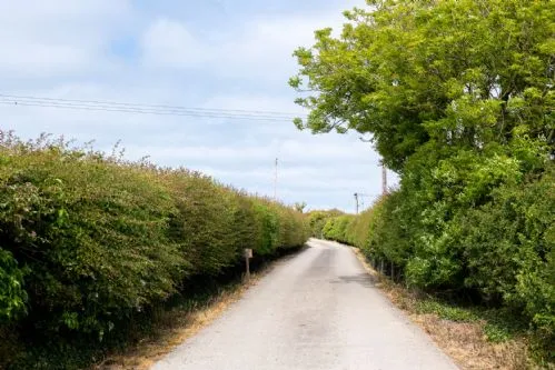 Y Bwthyn Driveway