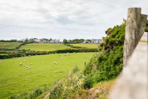 Y Bwthyn Llanfaelog Fields