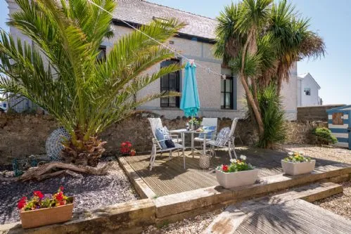 Bryn Awel Bach shared garden