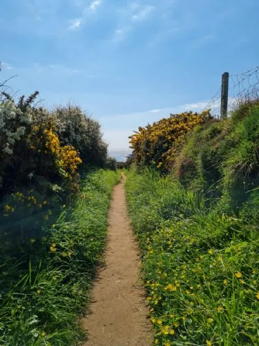 Coastal Footpath