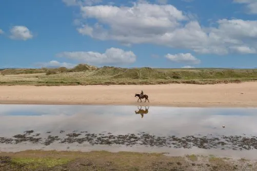 Y Cei Estuary Horse Riding