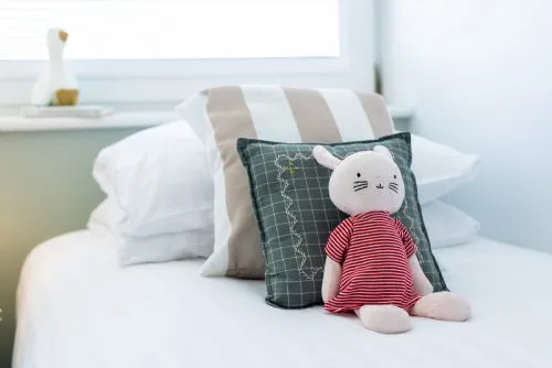 Swn Y Bae - Teddy