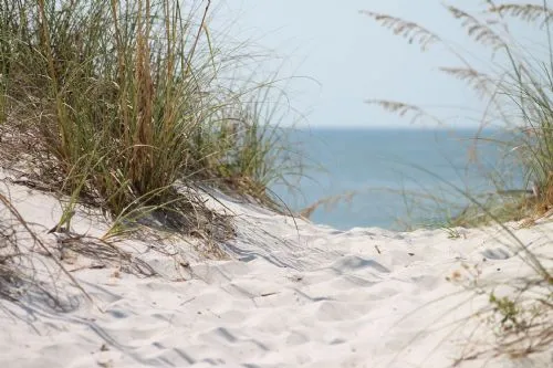 sand, marram grass and sea