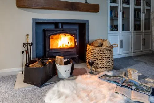Lakeside Log Fire