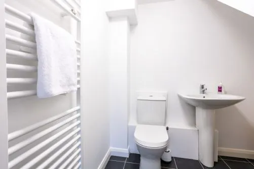 Sea sway understairs bathroom