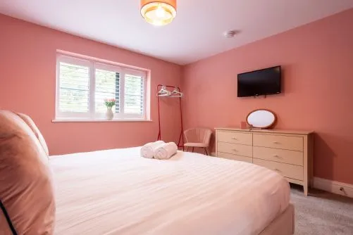 Bluebells - Smart TV