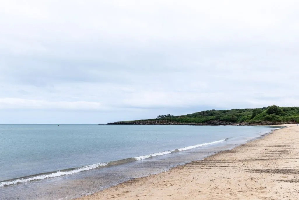 Parc D - Lligwy beach and forest
