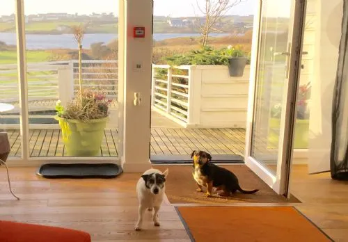 Owain's Lake View - Lake view - Llanfaelog 