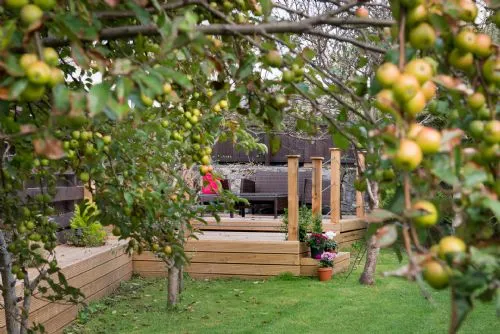Rhonwil - Garden decking